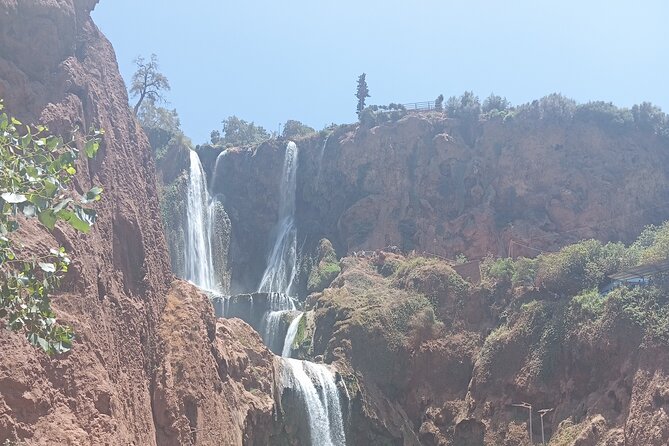 Marrakech to Ouzoud Waterfalls Day Tour - Walking through the olive groves to Ouzoud Falls