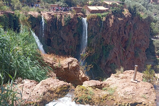 Marrakech to Ouzoud Waterfalls Day Tour - What the guide can add to the day