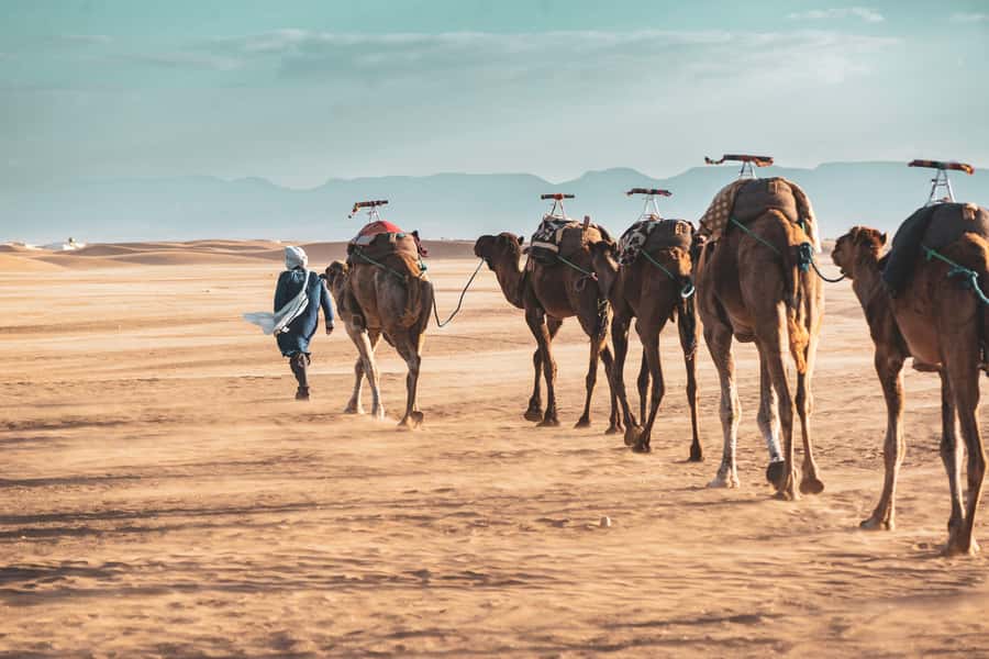 Marrakech to Zagora Desert: 2-Day trip via Ait Benhadou - Key points to know before booking