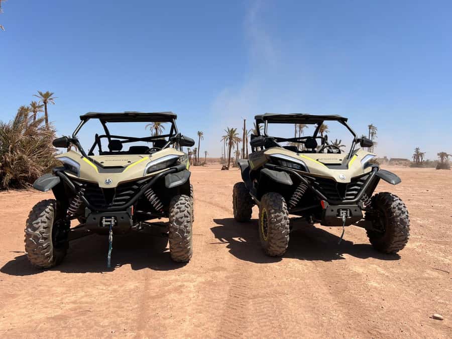 Marrakech: Tour Buggy 1000cc In Palm Oasis and Jbilat Desert - From Marrakech to the palm oasis