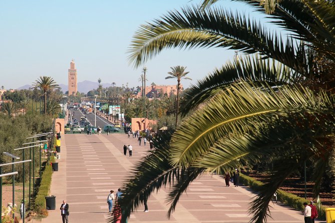 Marrakech Tour Gardens Majorelle, Menara & Anima Gardens - Timing, comfort, and the shape of the day