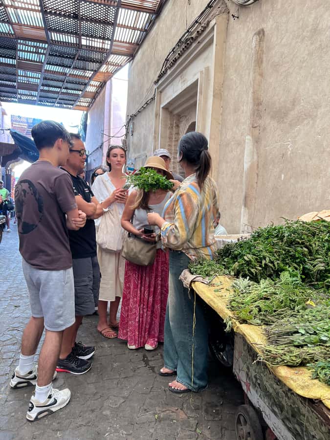Marrakech: Traditional Moroccan Cooking Class & Market Visit - Timing, comfort, and practical limits