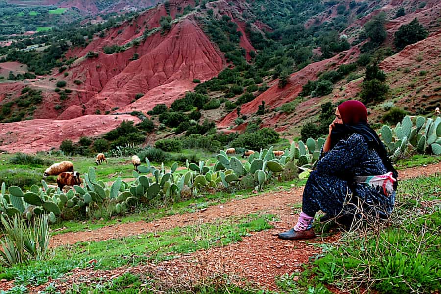 Marrakech: Zipline and Breakfast in the Atlas Mountains - Practical details before you go