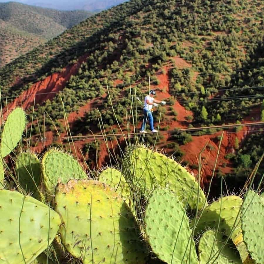 Marrakech: Zipline and Breakfast in the Atlas Mountains - A slower stop at the women’s argan cooperative
