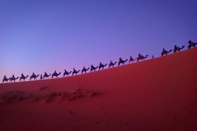 Marrakesh 3 Days Tour to Fez with Overnight Desert Camping - Sunset camels and the Erg Chebbi camp
