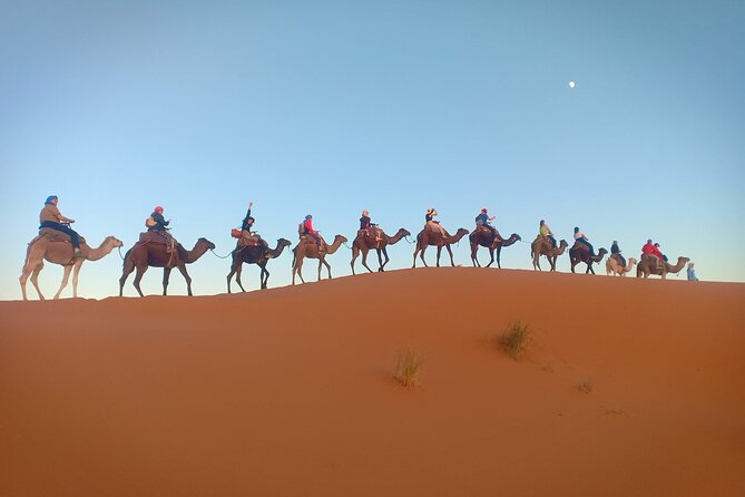 Marrakesh 3 Days Tour to Fez with Overnight Desert Camping - Sunrise and a tricky morning departure