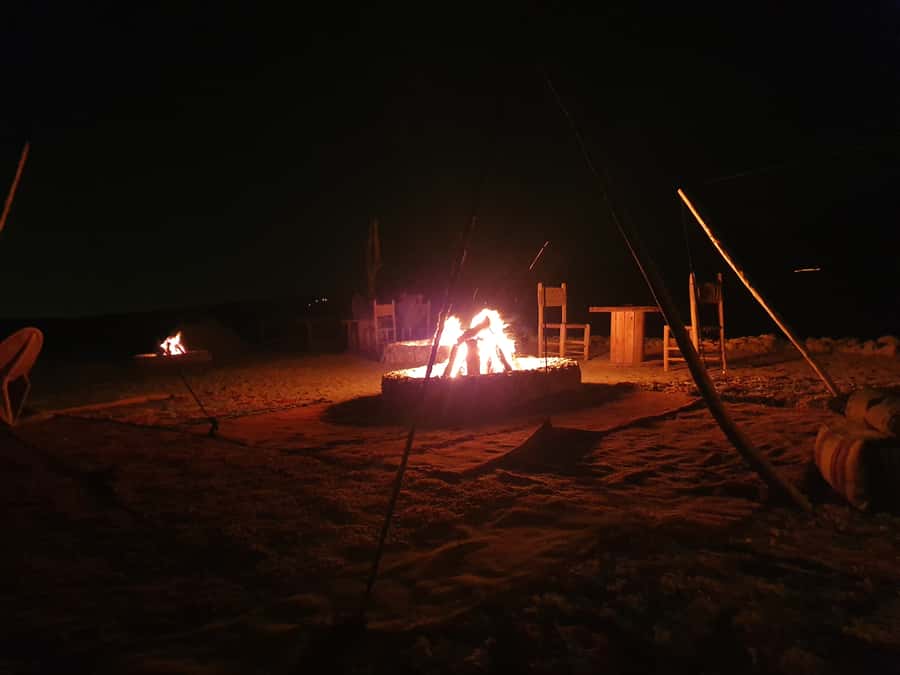 Marrakesh: Agafay Desert Quad & Camel Tour with Dinner - Who should choose this outing?