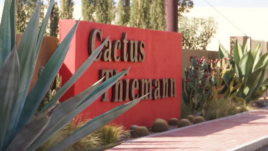 Marrakesh: Cactus Thiemann Entry Ticket - A Simple Visit for Families and Plant Lovers