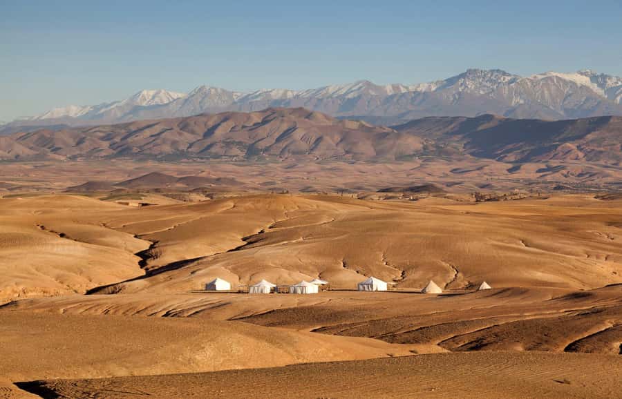 Marrakesh: Desert & Mountain Tour with Camel Ride & Lunch - The food, tea, and cultural stops