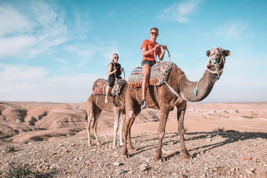 Marrakesh: Desert & Mountain Tour with Camel Ride & Lunch - Pickup from Marrakesh and the road south