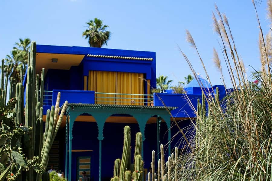 Marrakesh: Majorelle Garden Entry Tickets - What makes Majorelle Garden special