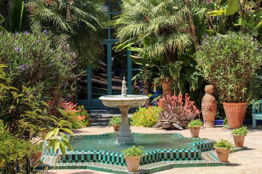 Marrakesh: Majorelle Garden Entry Tickets - Finding the exotic plants and impressive cacti