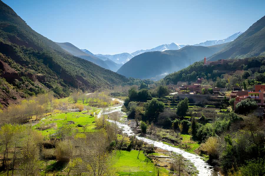 Marrakesh: Ourika Waterfalls, Atlas Mountains, Guide + Lunch - The Amal Ourika cooperative and argan oil