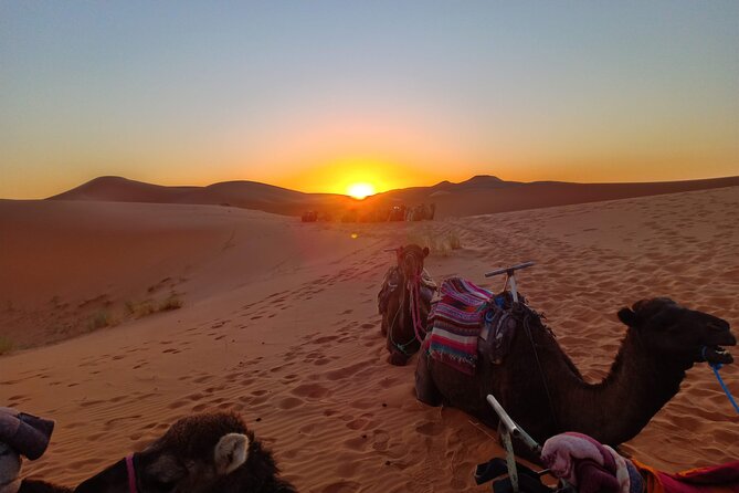 Marrakesh to Fez 3-Day with Overnight merzouga Desert Camping - Day 3: Sunrise, the Ziz Valley, and Fez