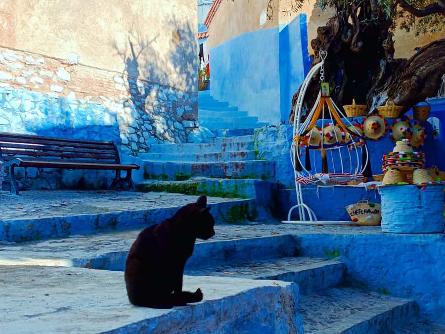 Memorable Day Trip From Fez to Chefchaouen the Blue City - The road north from Fez