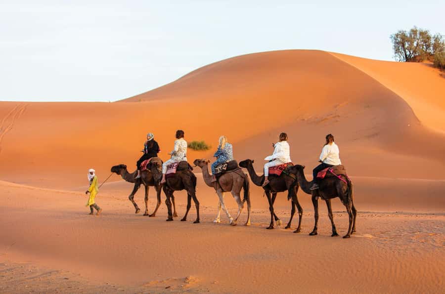 Merzouga: 1-Night in Desert Camp With Dinner & camel ride - Sunrise, breakfast, and the camel ride back