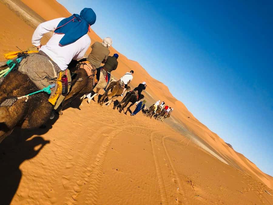 Merzouga: 1-Night in the luxury camp. camel ride & Dinner - Guides, languages, and the human side