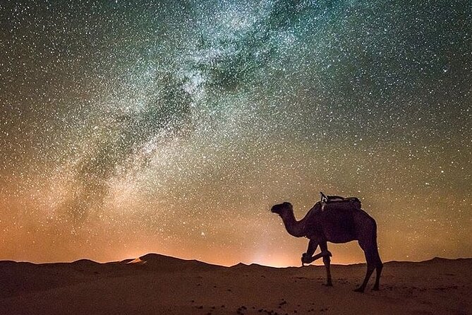 Merzouga Camel Ride & Overnight Desert Camps - Standard or luxury tent for the night