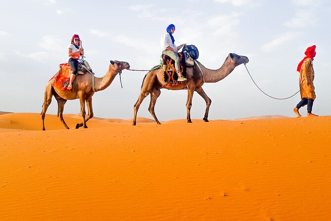 Merzouga Camel Ride & Overnight Desert Camps - Sandboarding and free time on the dunes