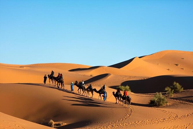 Merzouga Camel Ride & Overnight Desert Camps - Sunrise, breakfast, and the ride back