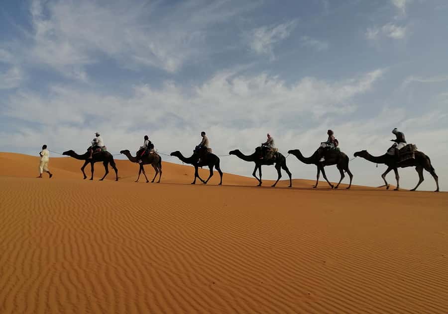 Merzouga Desert: 3-Day Desert Tour from Marrakech - Guides, vehicles, and group comfort