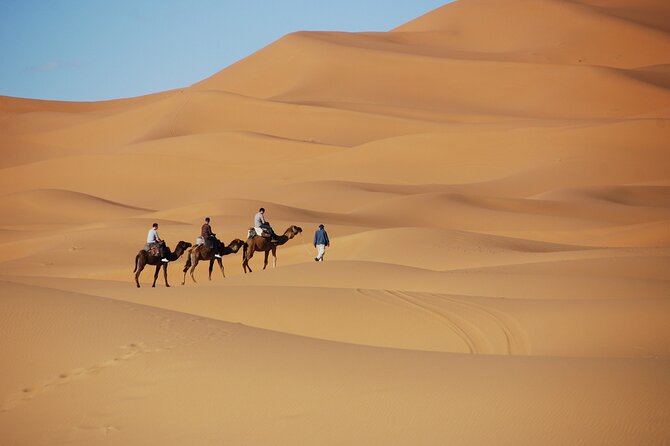 Merzouga Desert Campsite &Camel Excursions - Dinner, instruments, and a clear desert sky