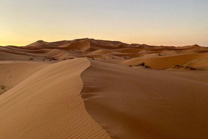 Merzouga Desert Quad bike Adventure with Sand boarding - Sandboarding adds a second kind of fun