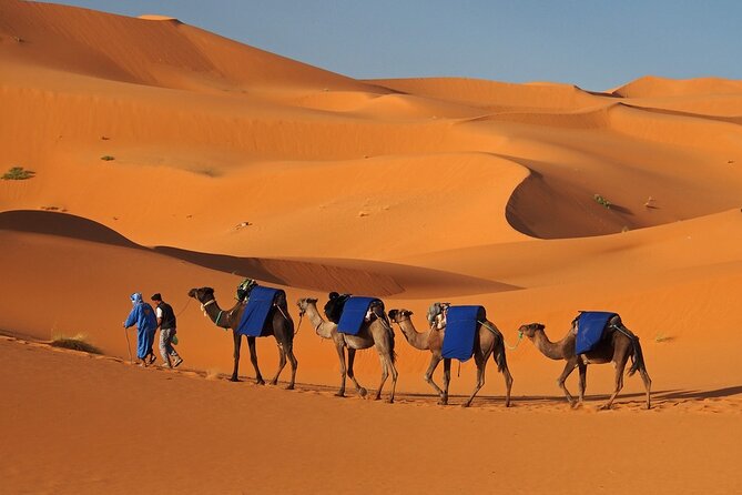 MERZOUGA DESERT TREK - 3 DAYS From Marrakech - What the $116.62 price really buys you