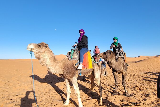 MERZOUGA DESERT TREK - 3 DAYS From Marrakech - The drivers and guides make a real difference