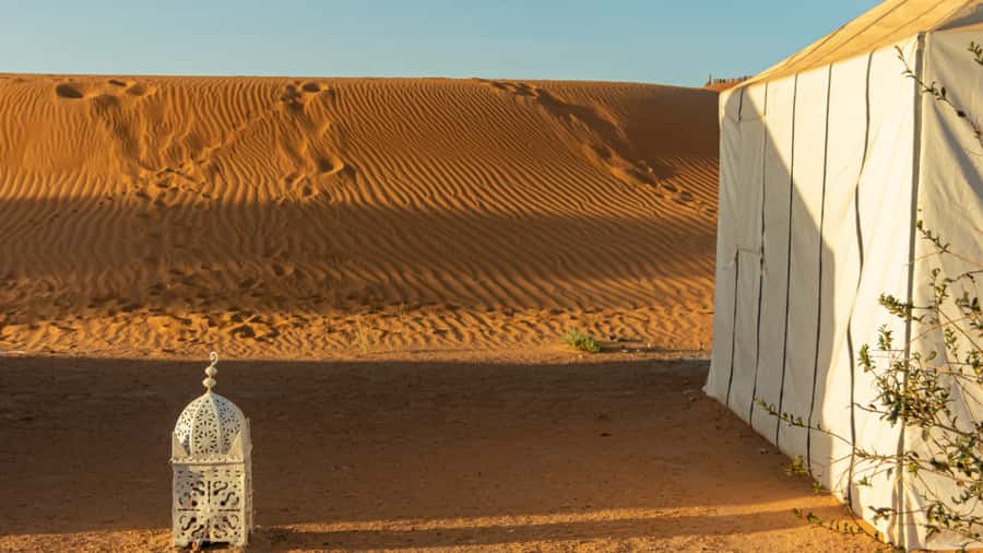 Merzouga Overnight Stay in a Berber Tent and Camel Ride - Dawn, breakfast, and the return to your car