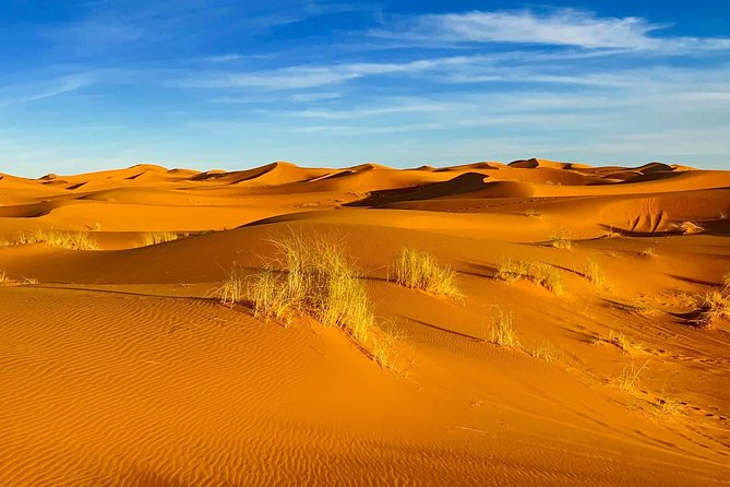 Moroccan Desert 3-Day Luxury Tour from Marrakech - Practical packing advice for the three days