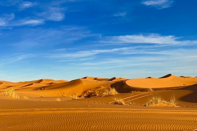 Moroccan Desert 3-Day Luxury Tour from Marrakech - Day two: Todra Gorge and the road to Erg Chebbi