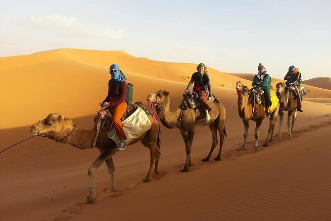 Morocco 9 Days Tour from Casablanca - Day 7: The Thousand Kasbahs road and Ait-Ben-Haddou