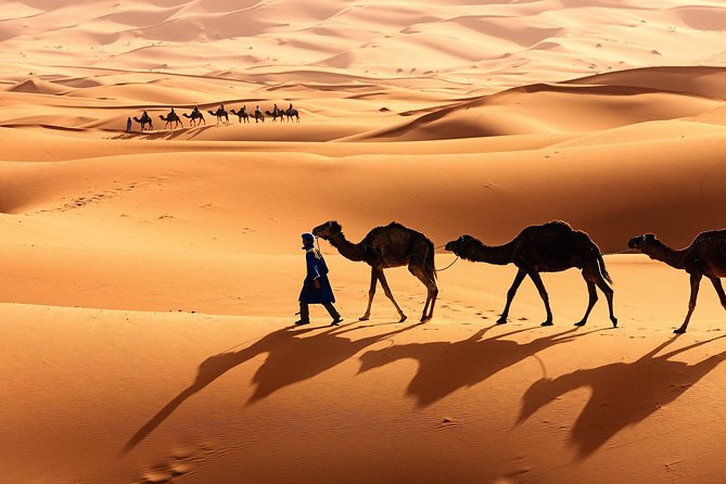 Morocco Top Trips: Luxury 10-Day Private Tour in Morocco - Why This Route Works