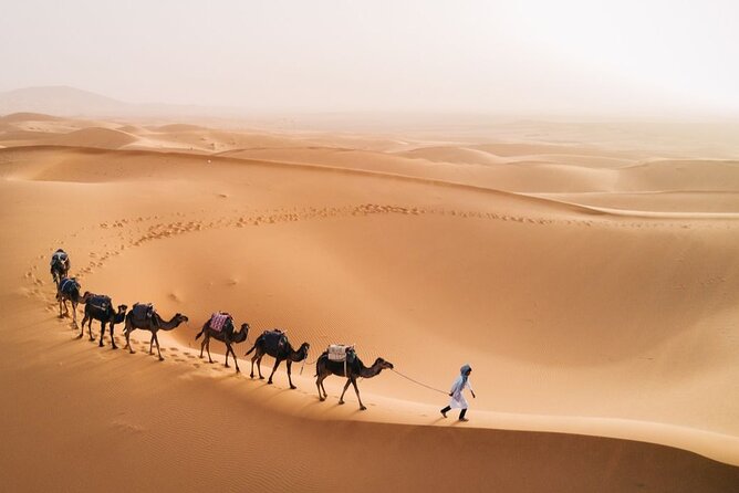 Morocco Tour from Casablanca to Sahara and Marrakech 5 days - Day one: Rabat, Meknes, Volubilis, and Fez