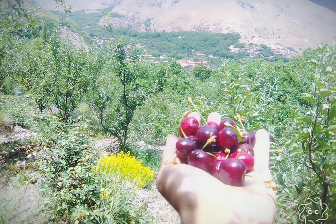 Mountains And Agafay Desert & 3 Valley & Berber Villages with Camel Rid - Walking through Berber villages and valleys