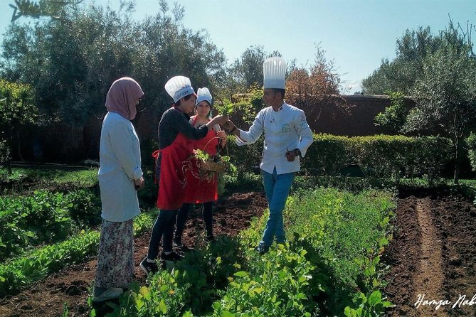Organic Moroccan Cooking Class At Secret Berber Garden CT - Making bread, tagine, couscous, and salads