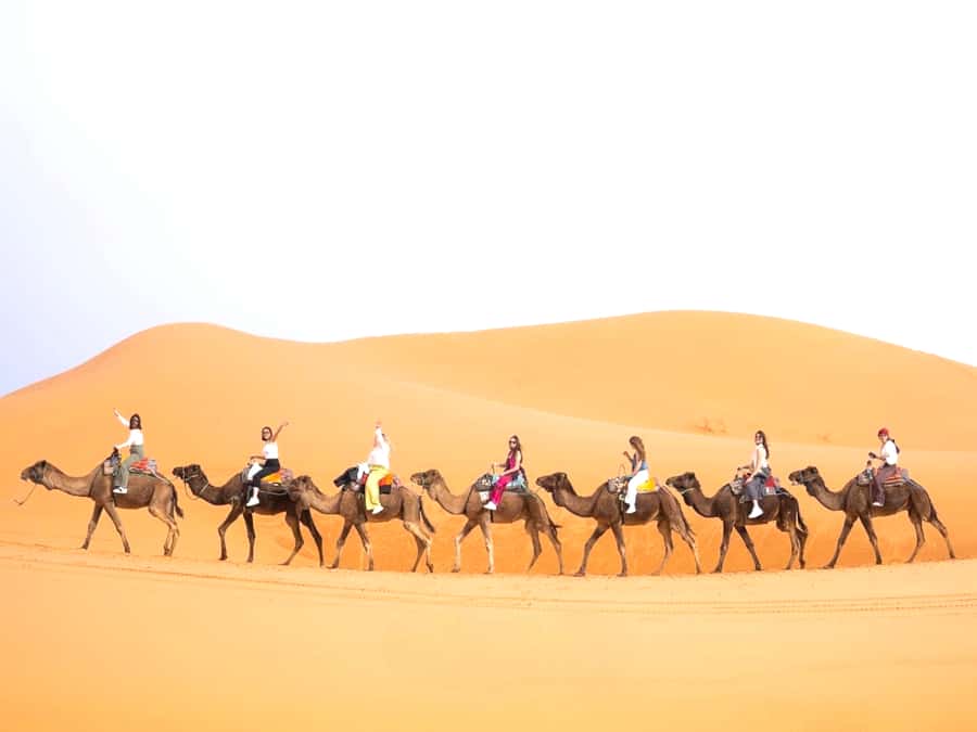 Ouarzazate to Marrakech: 3-Day Desert Tour with Camel Trek - Key details to know before booking