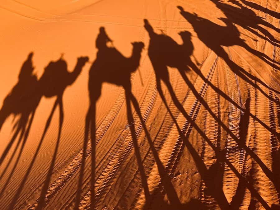 Ouarzazate to Marrakech: 3-Day Desert Tour with Camel Trek - Should you book the Ouarzazate to Marrakech desert tour?
