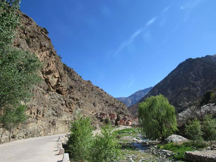 Ourika valley & atlas mountains guided tour from Marrakech - Arriving in Ourika Valley and Setti Fatma