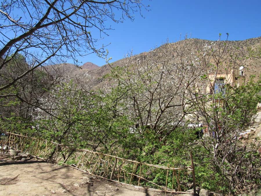 Ourika valley & atlas mountains guided tour from Marrakech - The 1.5-Hour Walk to the Waterfalls