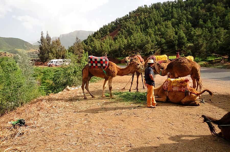 Ourika Valley, Atlas Mountains, Waterfalls & Guided Tour - The guide matters more than the minibus