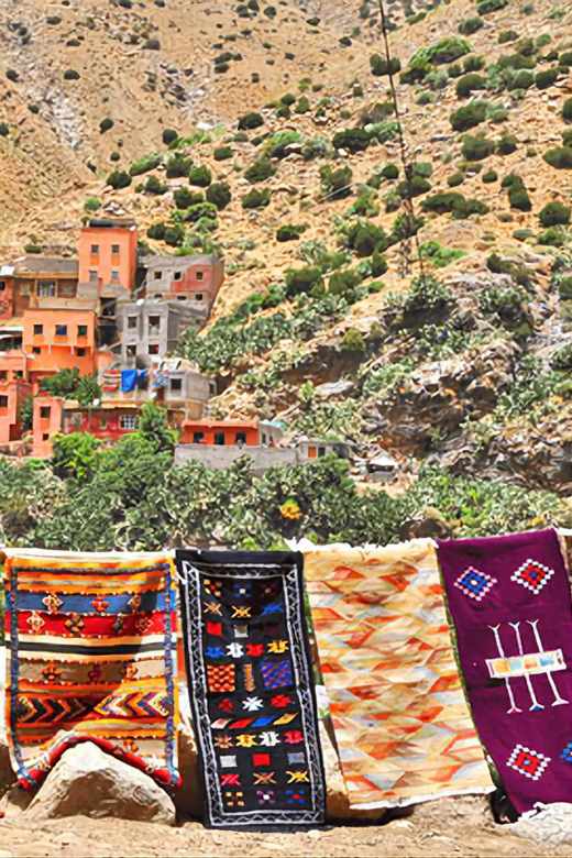 Ourika Valley, Atlas Mountains, Waterfalls & Guided Tour - Lunch beside the Ourika River