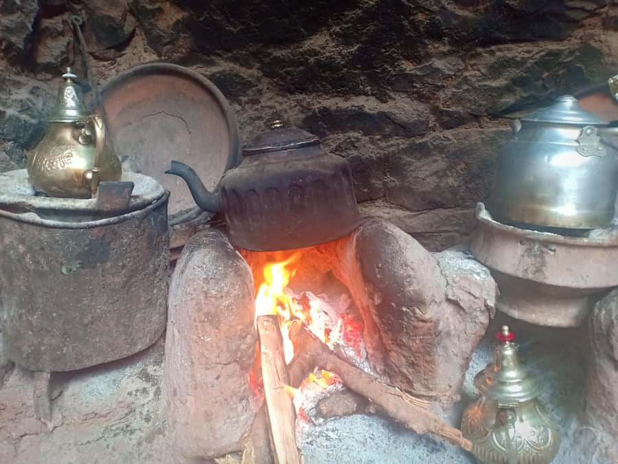 Ourika Valley ,Berber villages ,Atlas Mountains + Lunch - The argan oil cooperative and its limits