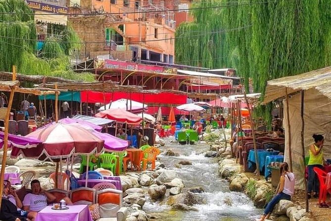 Ourika Valley Day Trip From Marrakech - Ourika Valley Marrakech - Is $13.96 a good value?