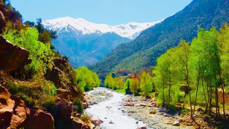Ourika Valley with Atlas Mountains Day Trip from Marrakech - Arriving in Setti Fatma