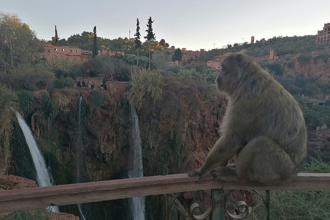 Ouzoud Waterfalls Excursions from Marrakech with boat Ride - Ouled Khellouf: a useful break at the halfway point