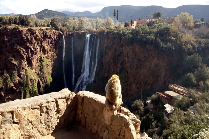 Ouzoud Waterfalls Full Day Trip From Marrakech - The boat ride is a small extra worth considering