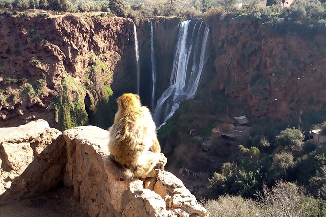 Ouzoud Waterfalls Full Day Trip From Marrakech - The Tamlalte coffee stop and return to Marrakech