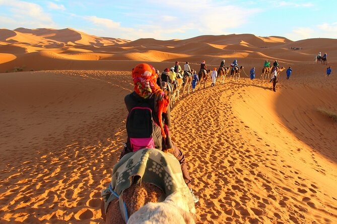 Overnight Camel trek in Merzouga dunes - Sandboarding and sunset from a high dune